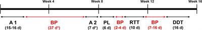 Haploinsufficiency of the Attention-Deficit/Hyperactivity Disorder Risk Gene St3gal3 in Mice Causes Alterations in Cognition and Expression of Genes Involved in Myelination and Sialylation